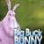 Big Buck Bunny